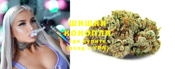 PSILOCYBIN Беломорск