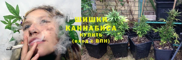 твердый Гусев
